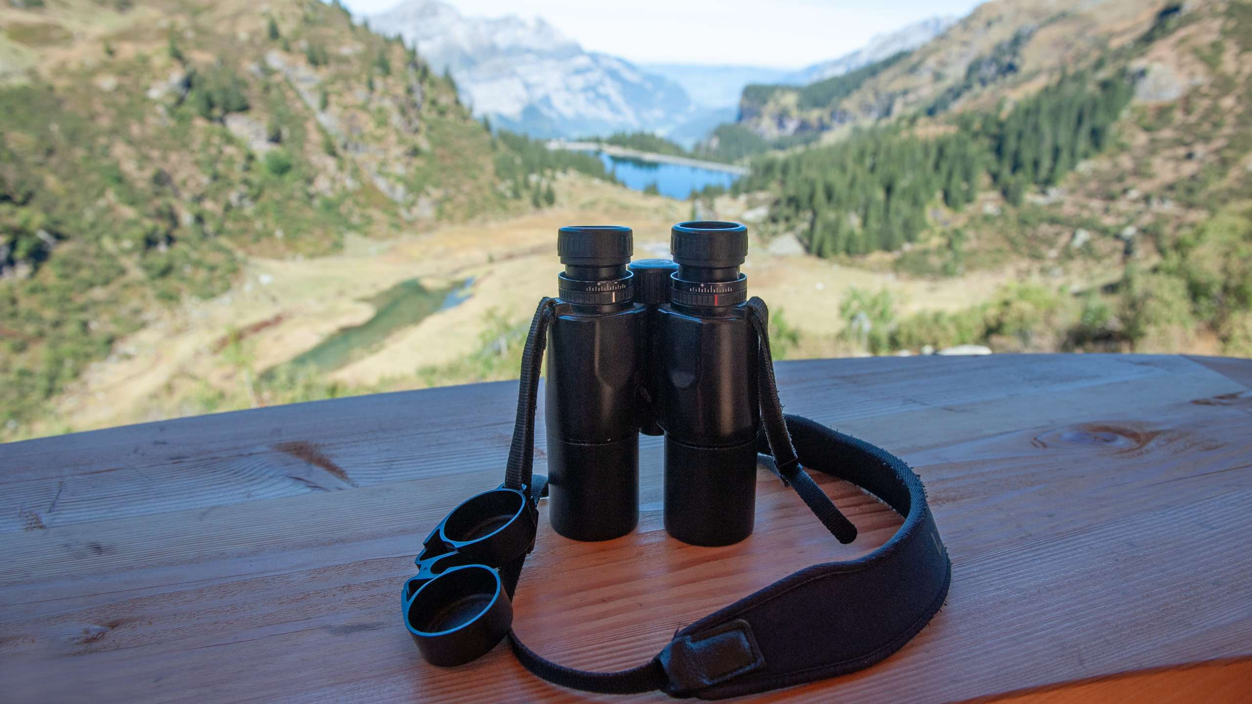 Geführte Wildbeobachtung