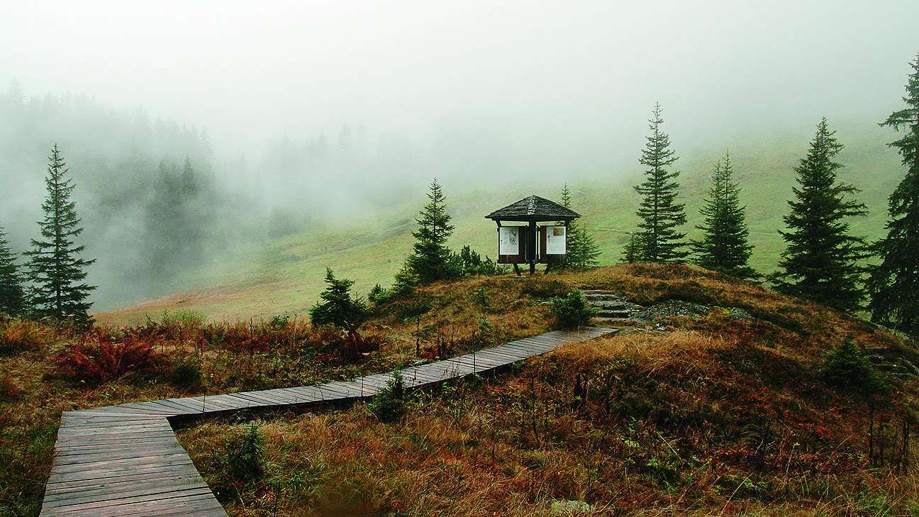 Moor-Lehrpfad Mettmen