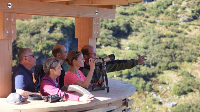 Wildbeobachtungsstationen