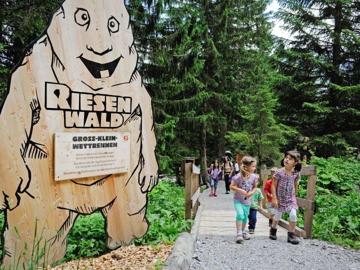 Riesenwald-Erlebnisweg in Elm