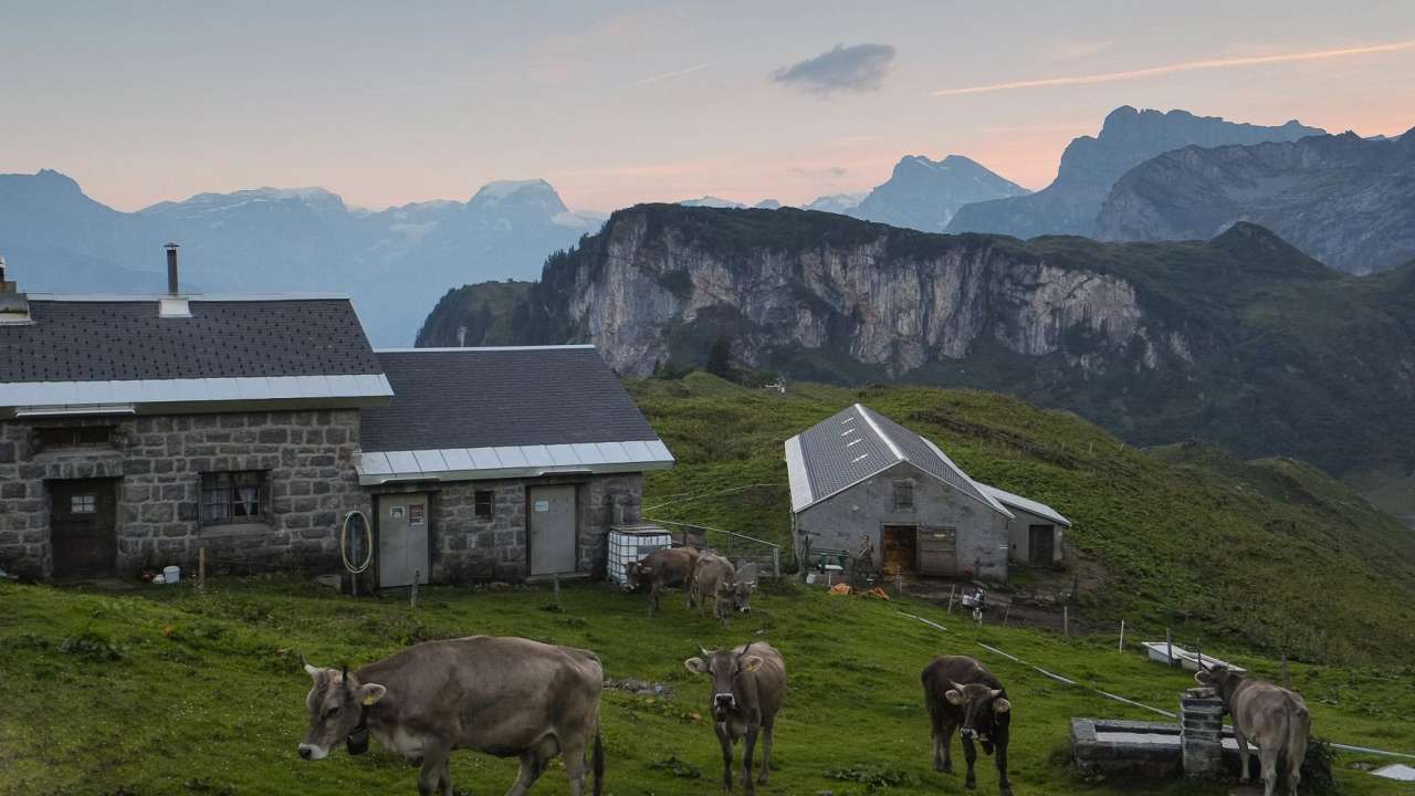 Übernachten auf der Alp Guppen