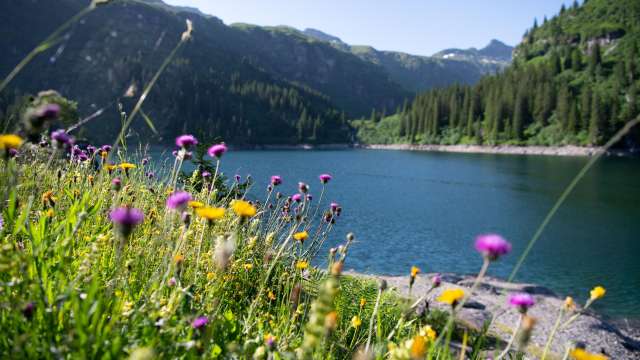 Entdeckungsspaziergang für Gruppen