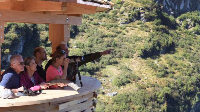 Geführte Wildbeobachtung für Schulen mit Übernachtung im Naturfründehuus Mettmen