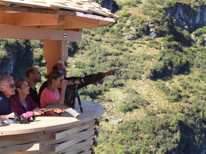 Geführte Wildbeobachtung für Schulen mit Übernachtung im Naturfründehuus Mettmen