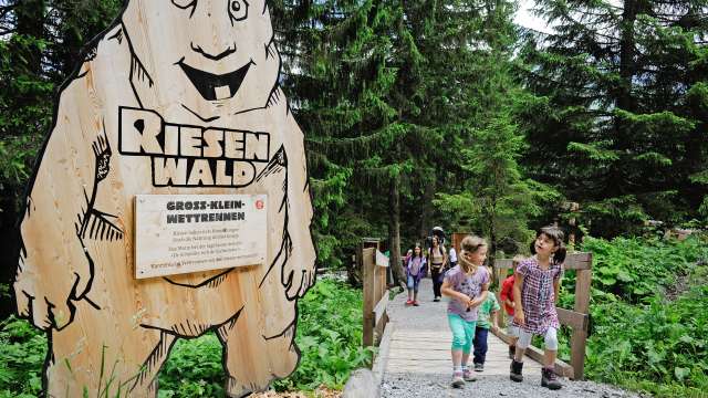 Riesenwald-Erlebnisweg in Elm