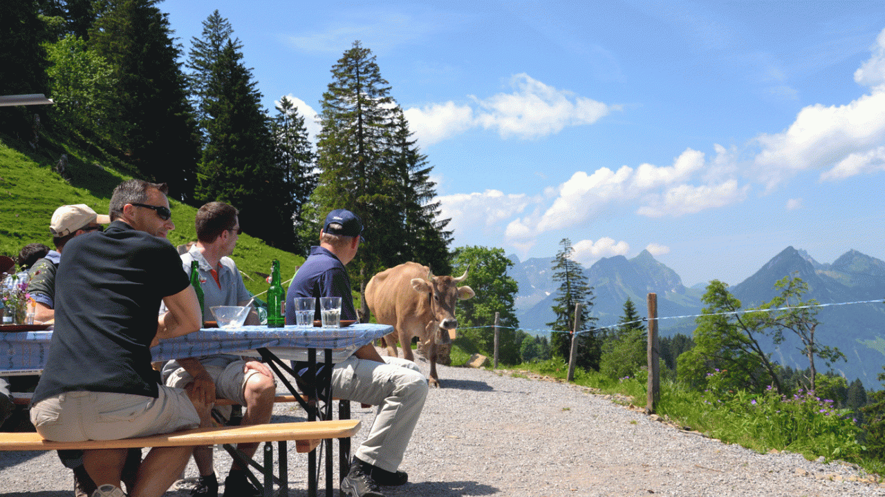 Beizli Alp Mittler und Ober Nüen