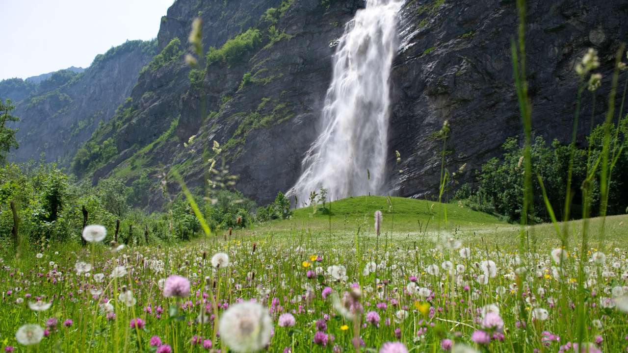 Schreyenbachfall