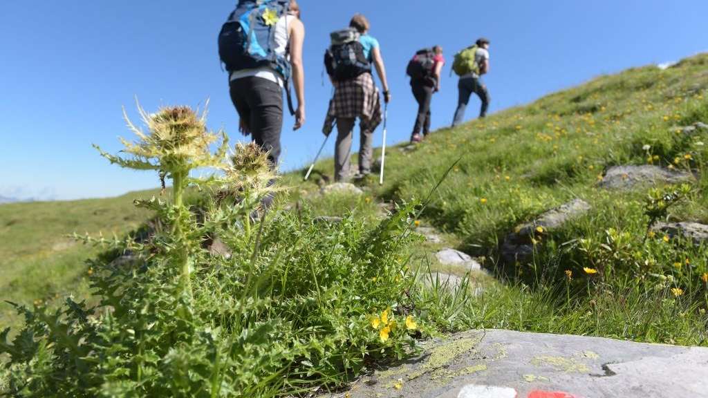 Spezialangebot: Rundwanderung Wildmad