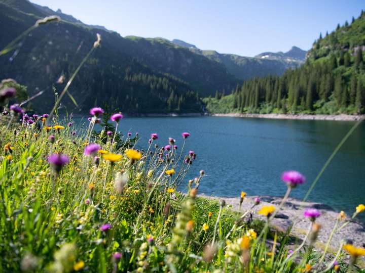 Entdeckungsspaziergang für Gruppen