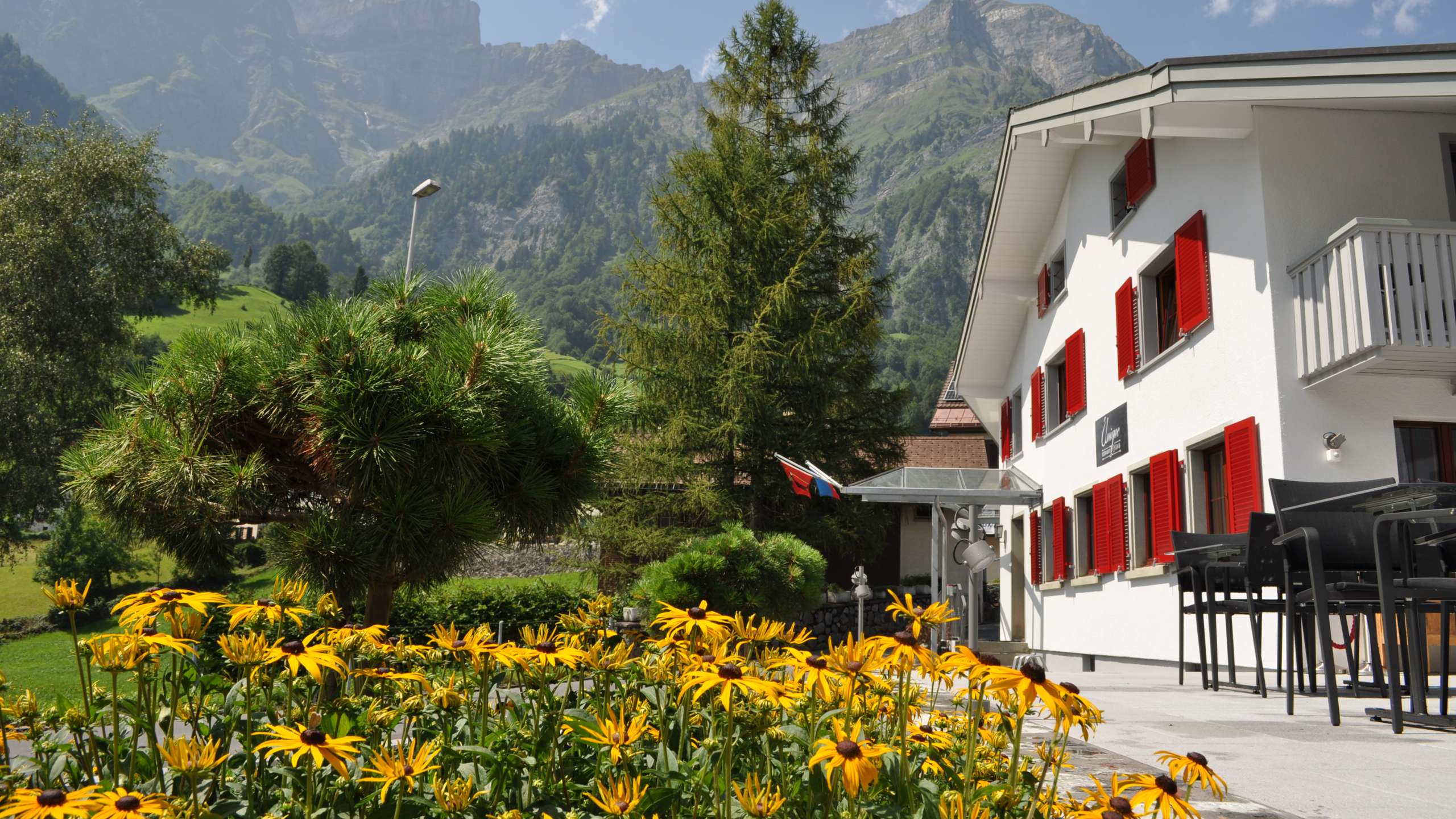 Gästezimmer & B&B