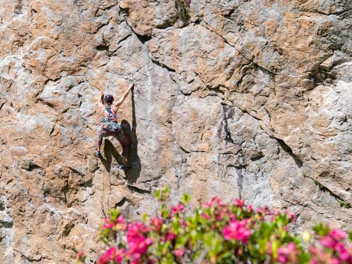 Klettergarten Widerstein