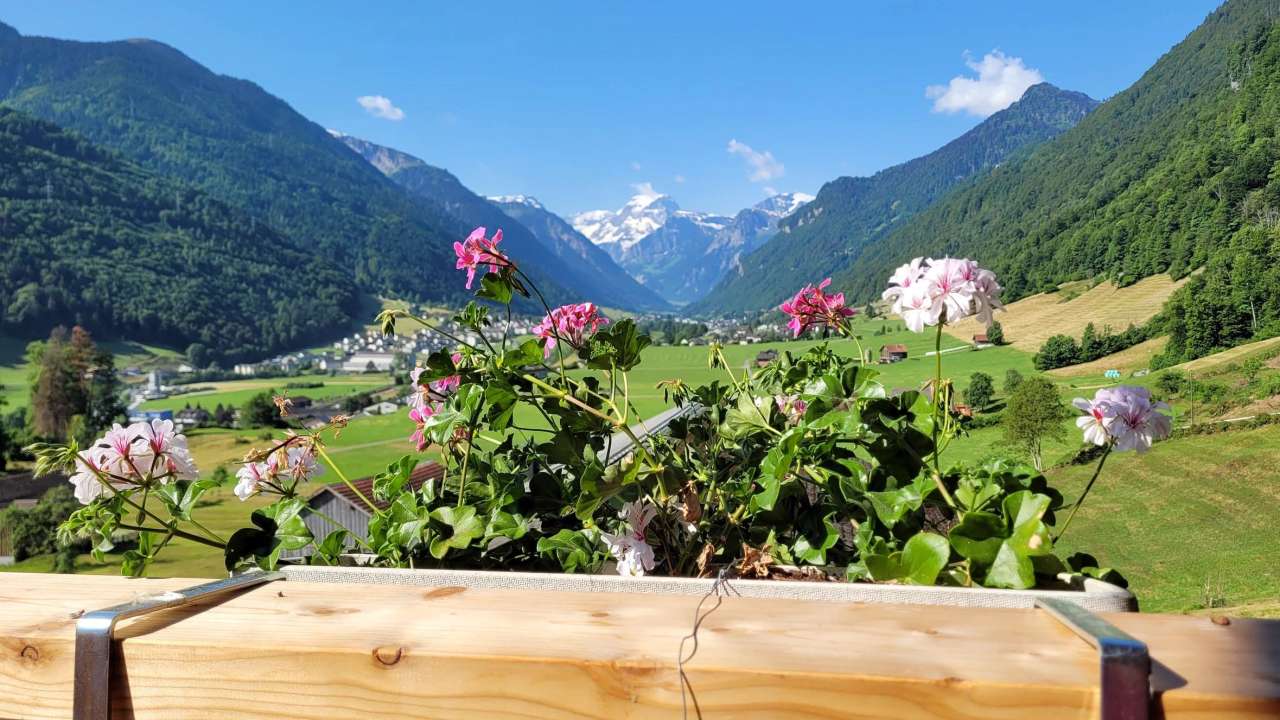 Nomady Hof-Stellplatz Stein in Schwanden 