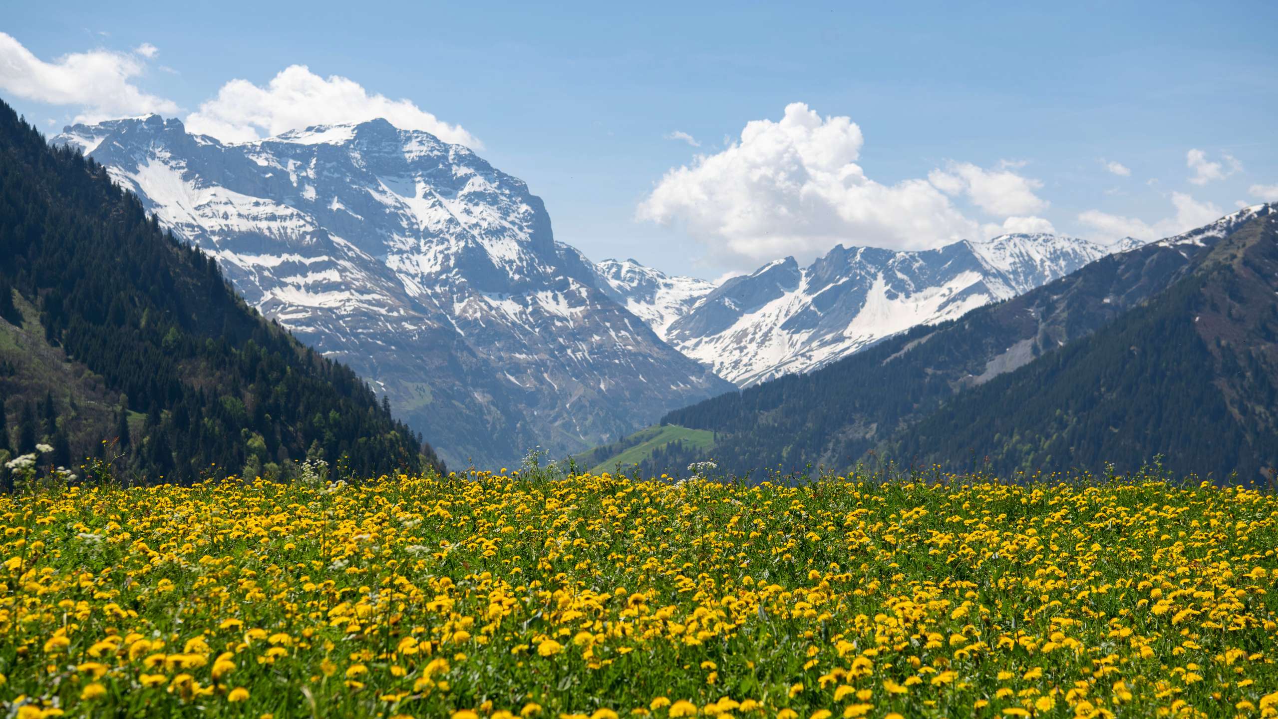 Zwischensaisons-Tipps