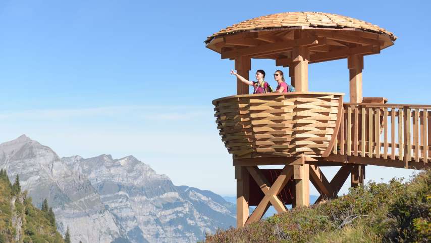 Wildbeobachtungen Mettmen