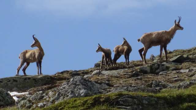Meilenstein für die Sportbahnen: Umsetzung FUTURO für 2025!