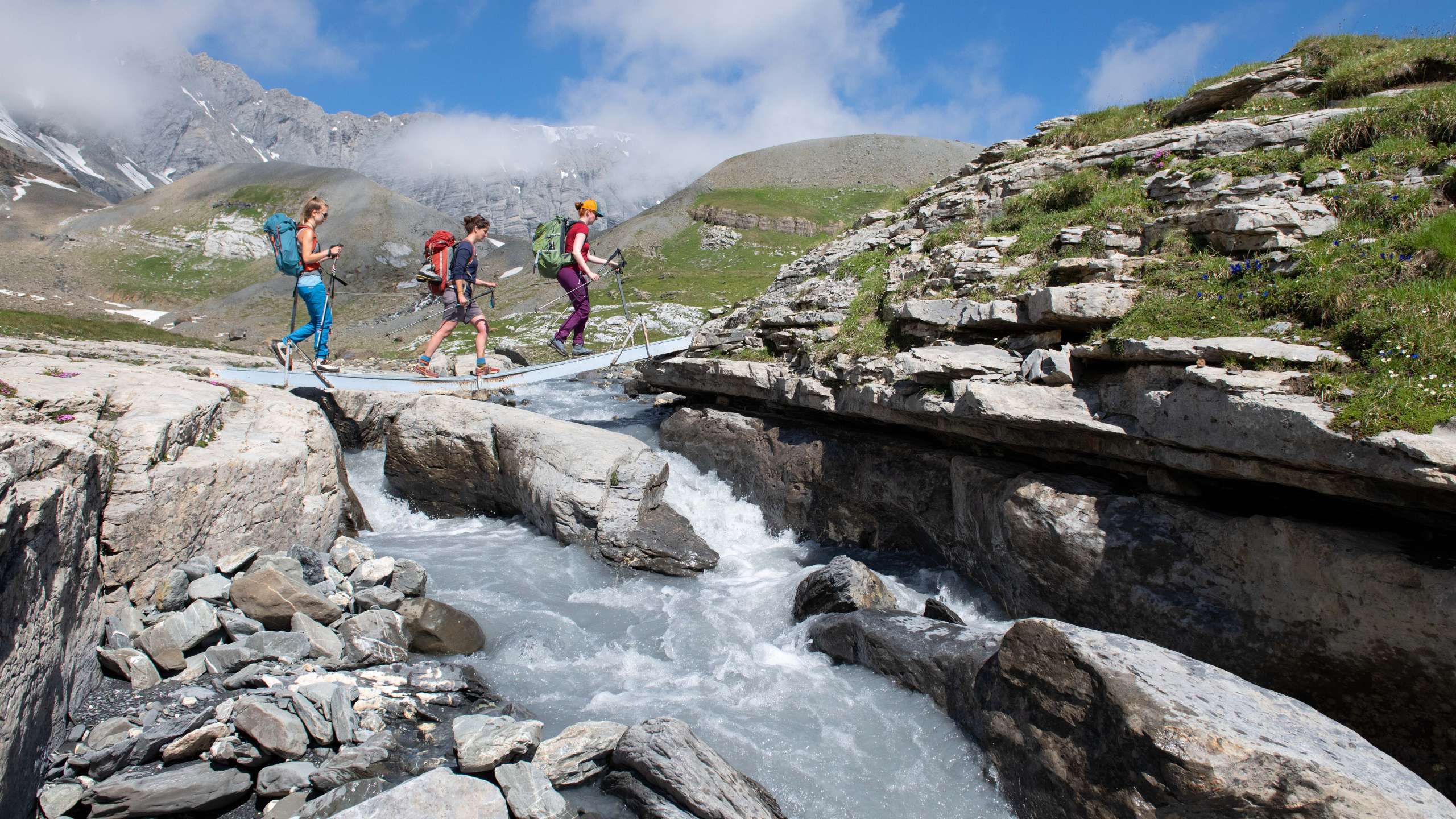 Ideen für den Sommer