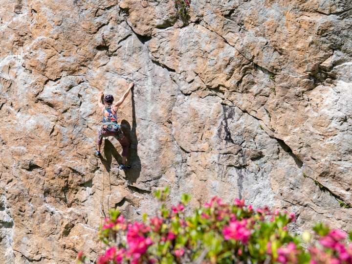 Klettergarten Widerstein