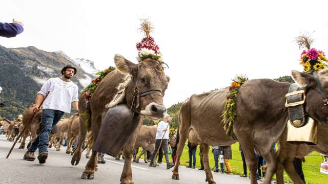 Der Chäsmärt zieht ins Dorf und trifft auf das Sonnenereignis