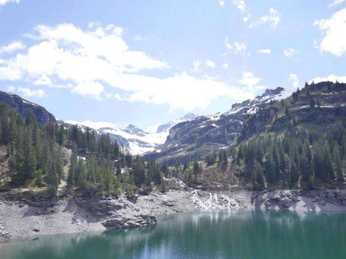 Waldreservat Garichti