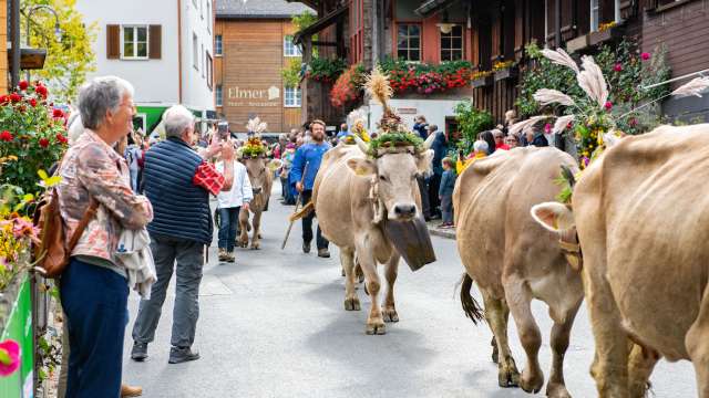 Der Alpchäs- und Schabzigermärt inmitten des Dorfkerns von Elm