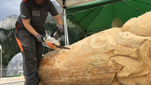 6. Internationale HolzART-Woche in Elm