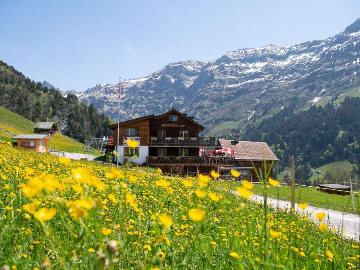 Berggasthaus Edelwyss