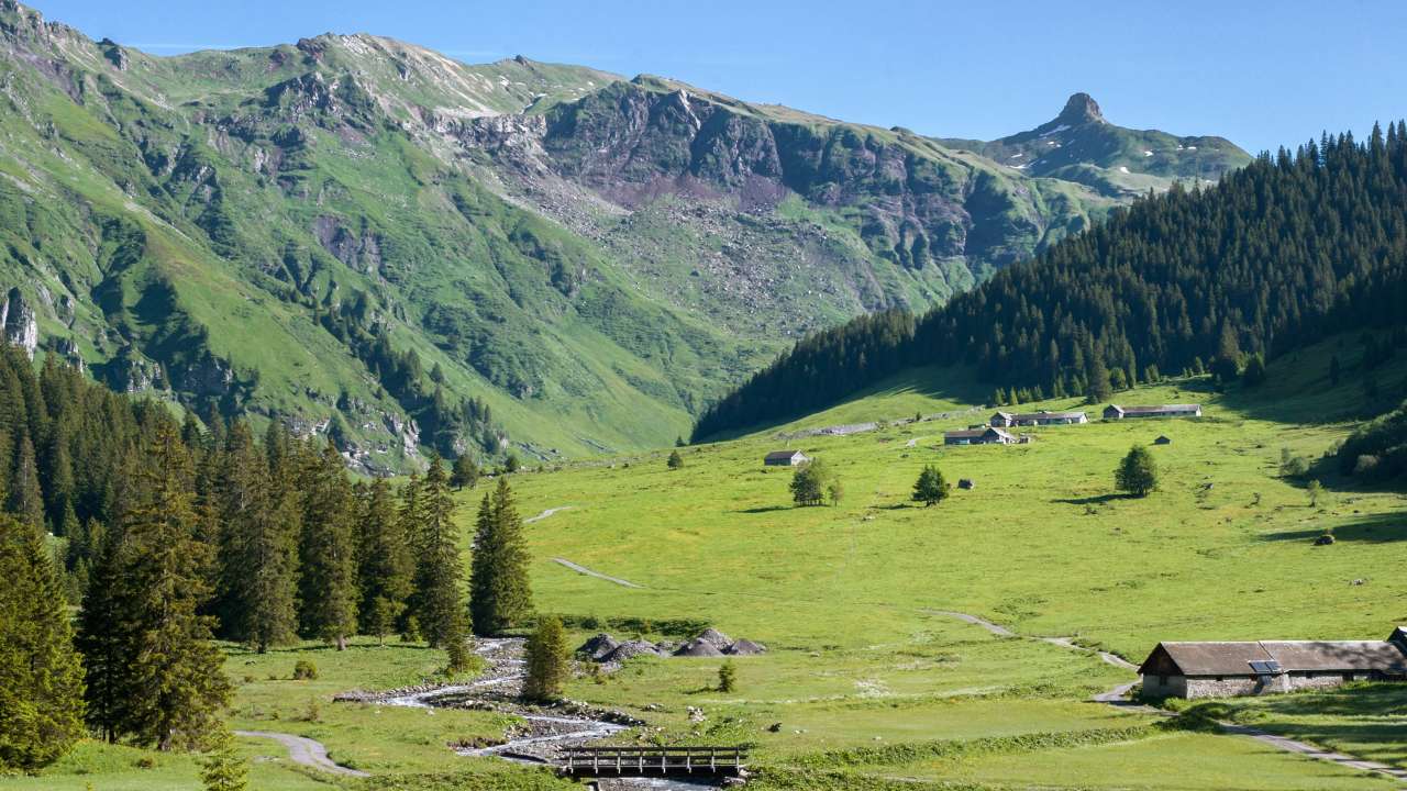 Käsepass Alp Krauchtal