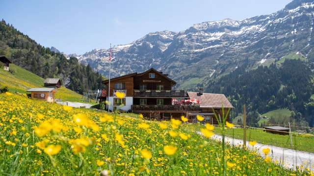 1. August Brunch im Berggasthaus Edelwyss