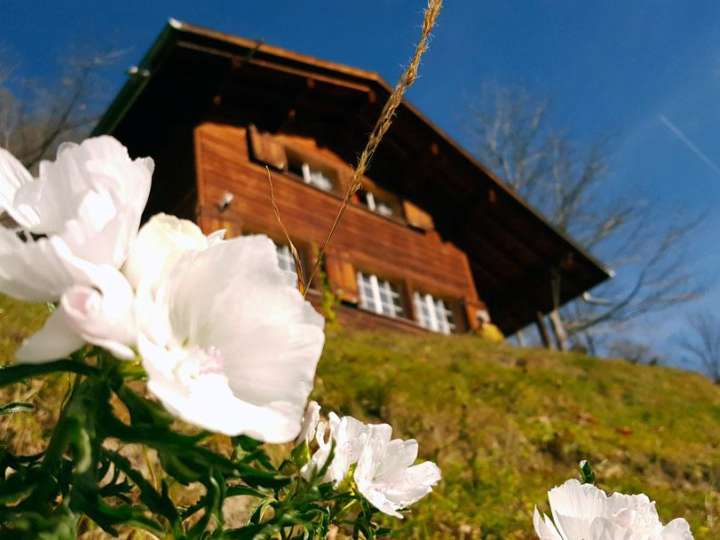 Ferienhaus Gfell Weissenberge 