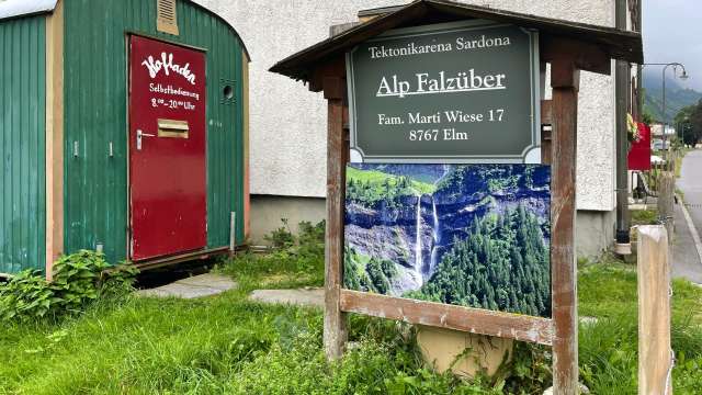 Hoflädeli Wiese, Elm