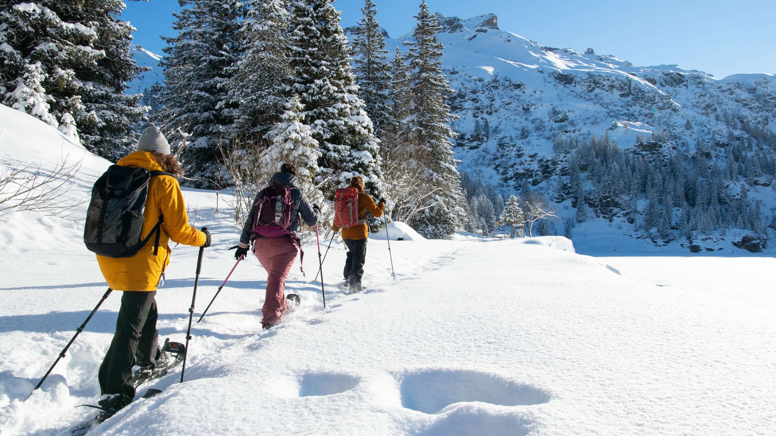 Winter-Infos Mettmenalp
