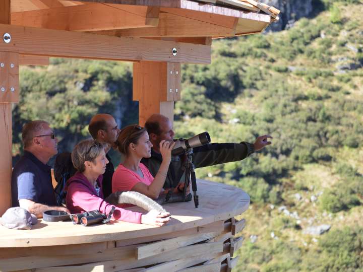 Geführte Wildbeobachtung für Gruppen