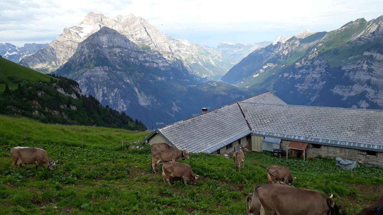 Käsepass Alp Heuboden