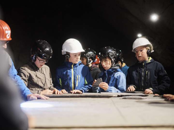 Öffentliche Führung «Audiowalk» Landesplattenberg