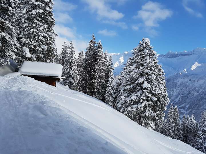 Schneeschuhtour Bischofalp