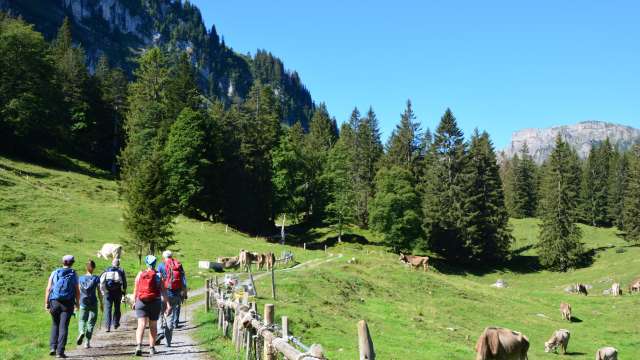 Bergbächli • Ueli Schlittler